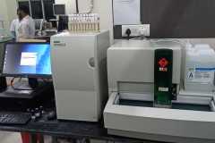 IMG-20240817-WA0231